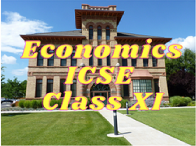 Economics (ICSE) - Class XI